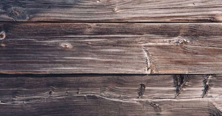 how-to-prevent-hardwood-floors-from-warping-steve-s-carpet-care