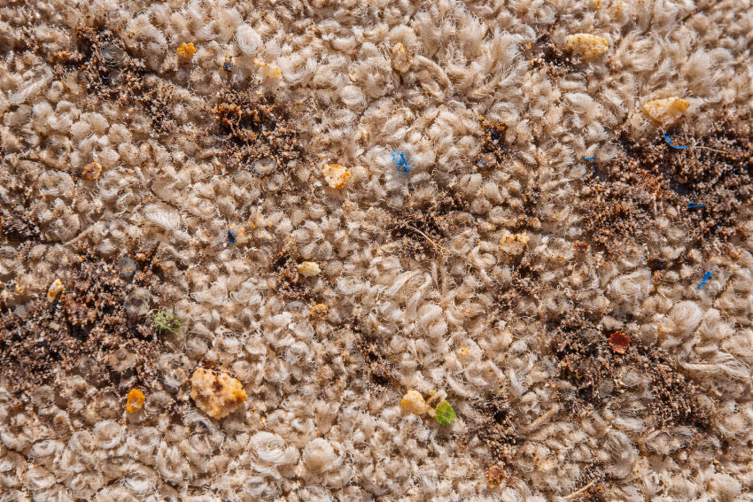Close-up of a dirty carpet