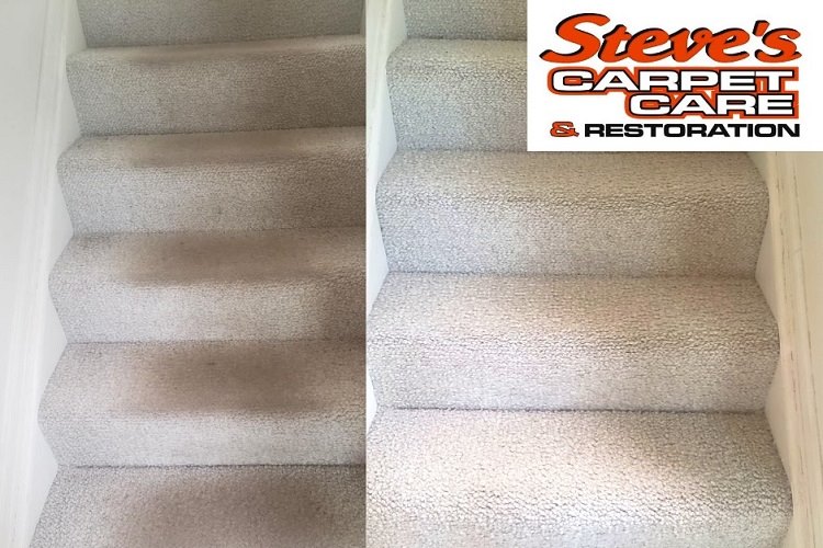 Adjacent photos of white carpeted staircase before and after truck-mounted carpet cleaning by professional carpet cleaners
