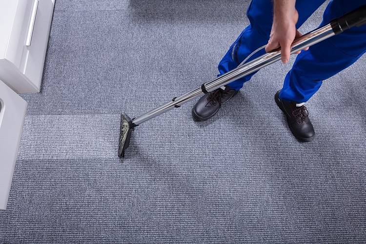 Professional carpet cleaner steam cleaning gray carpeting