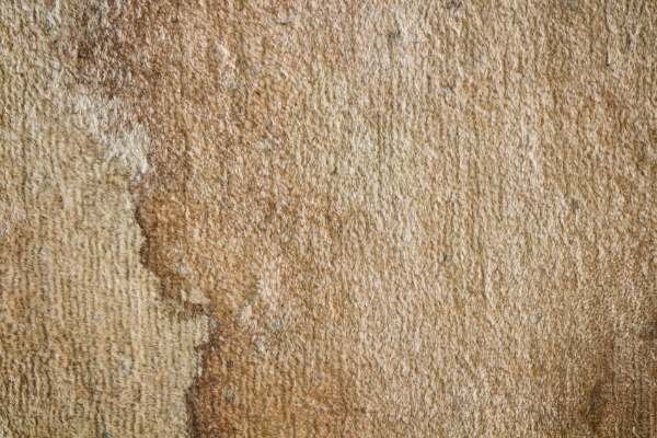 Food and drink stains on carpet causing bad odors