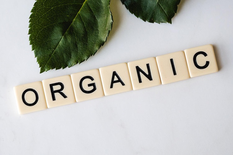 Scrabble tiles spelling the word 'ORGANIC' beside plant leaves on white countertop