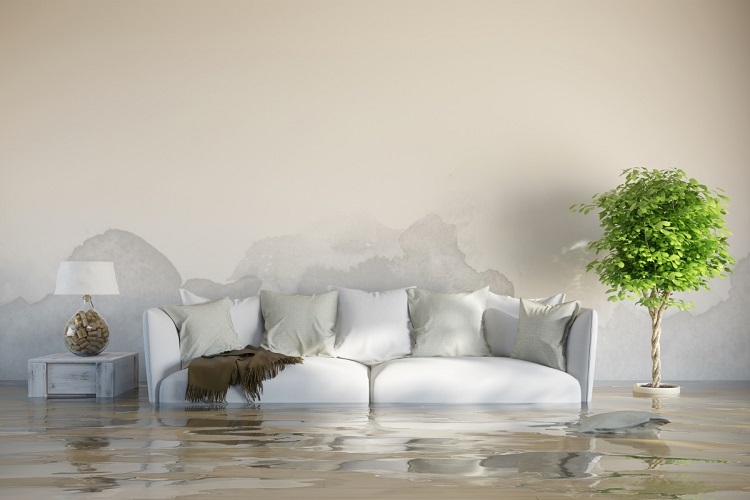 Flooded living room with white upholstered sofa, indoor fern, end table and decorative lamp