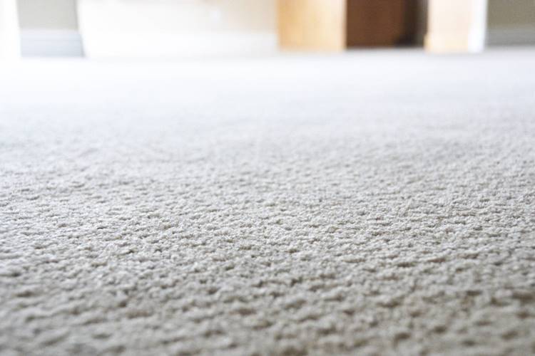 Textured off-white indoor carpeting Textured off-white carpeting in room with beige walls and white crown molding