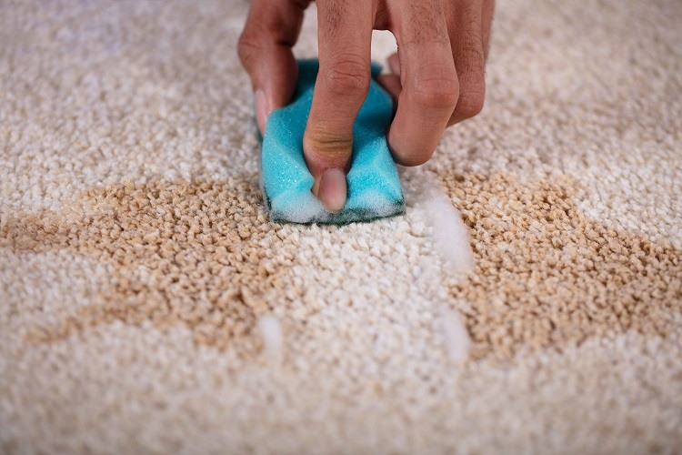 Hand cleaning carpet stain with yellow sponge