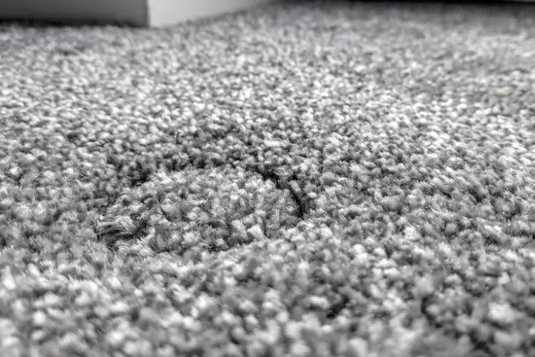 Textured gray carpeting with noticable indentation remaining from furniture