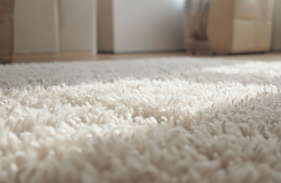 Closeup of carpet fibers that can trap odors