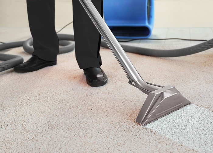 Professional Carpet Cleaning