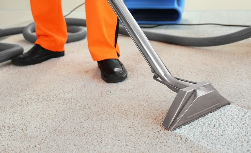 Professional carpet cleaning technician using steam cleaner on white carpeting