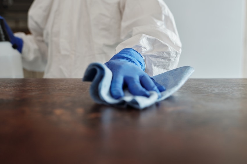 Person in white hazmat suit and blue rubber gloves disinfecting hard, wood countertop after discovering mold in home