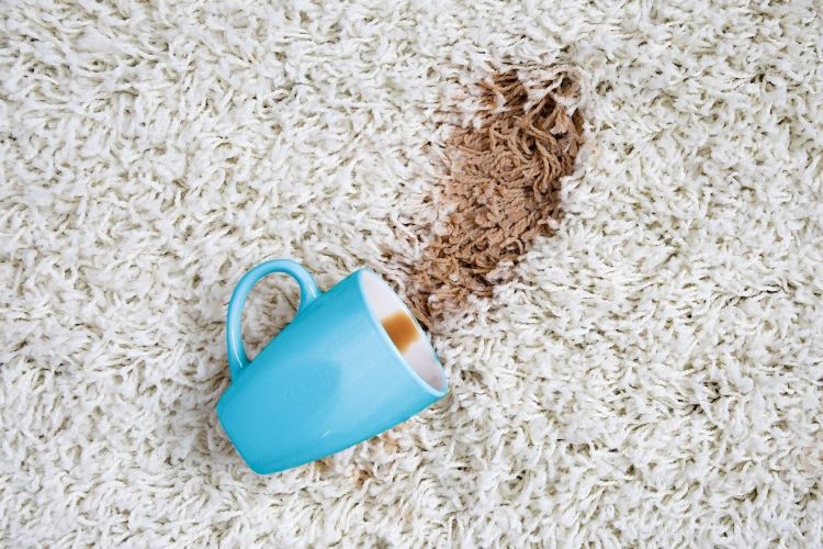 Overturned blue coffee mug and adjacent coffee spill on textured offwhite carpeting