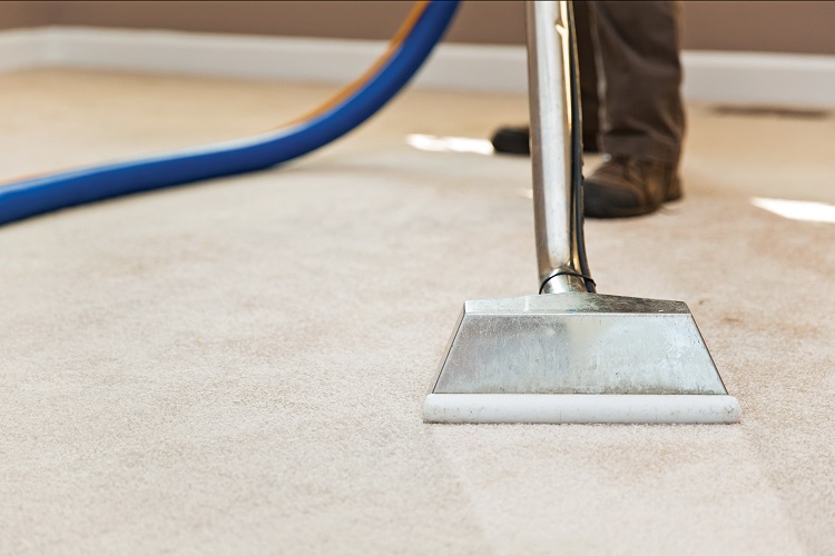 Man wearing leather shoes and brown pants cleaning carpeting with professional-grade steam cleaning equipment